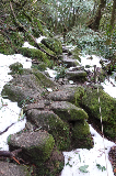 image0091