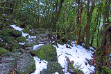 image0092