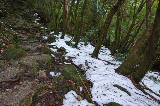 image0095