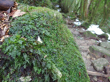 image0096