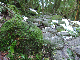 image0100