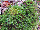 image0102