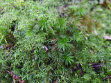 image0103