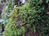 image0104