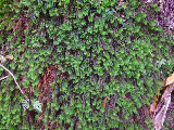 image0106