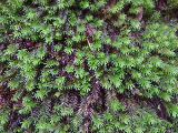image0107