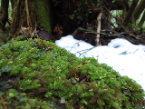 image0108