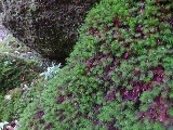 image0109
