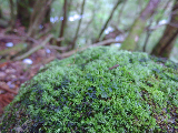 image0110