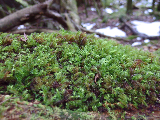 image0111