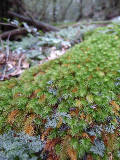 image0112