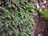 image0115