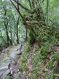 image0116