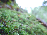 image0117