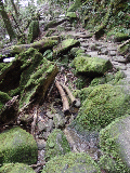 image0118