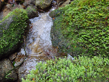 image0119
