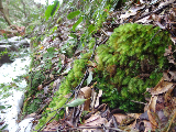 image0120