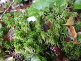 image0124
