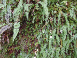 image0125