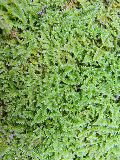 image0128