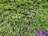 image0129