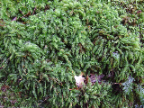 image0134