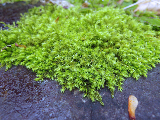 image0137