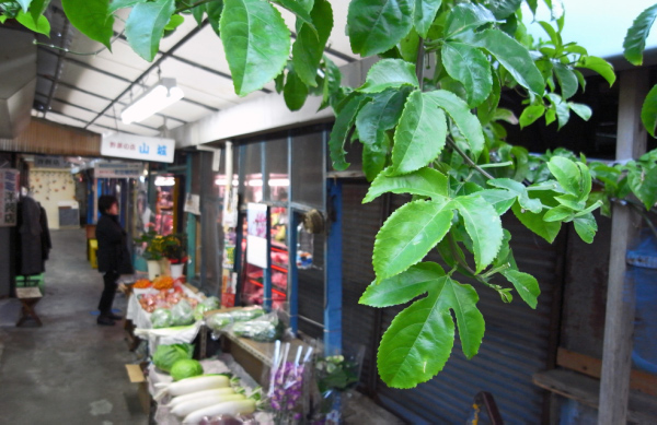 image0097