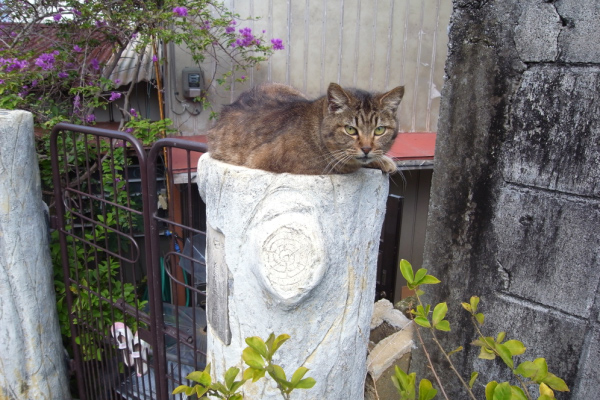 image0019