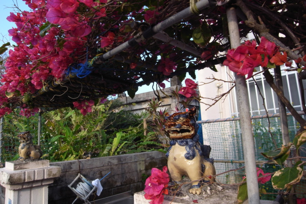 image0030