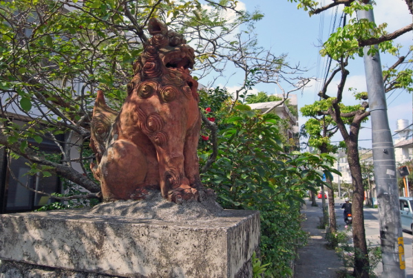 image0047