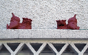image0035