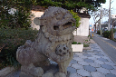image0038