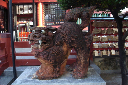 image0043