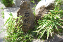 image0045
