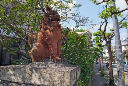 image0047
