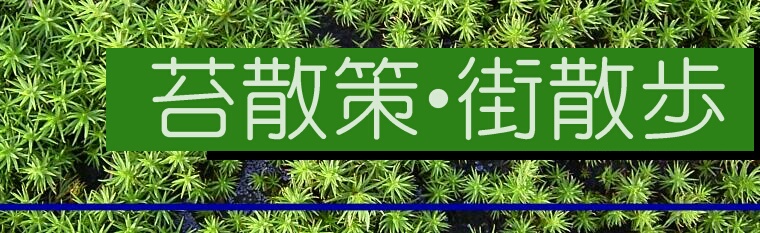 苔散策・街散歩　コケを探す街歩きフォト散歩です